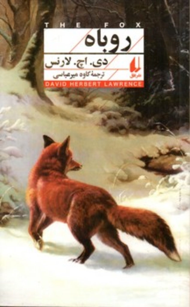 تصویر  روباه (پالتویی-شمیز)